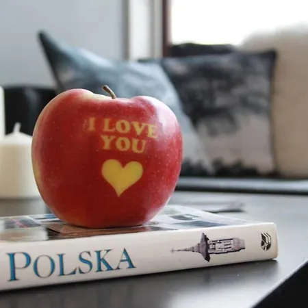 Kopernika 8'3 - Market Square & Old Town Krakau